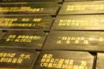 17_彭瑩瑩_一塊兒嬉耍
